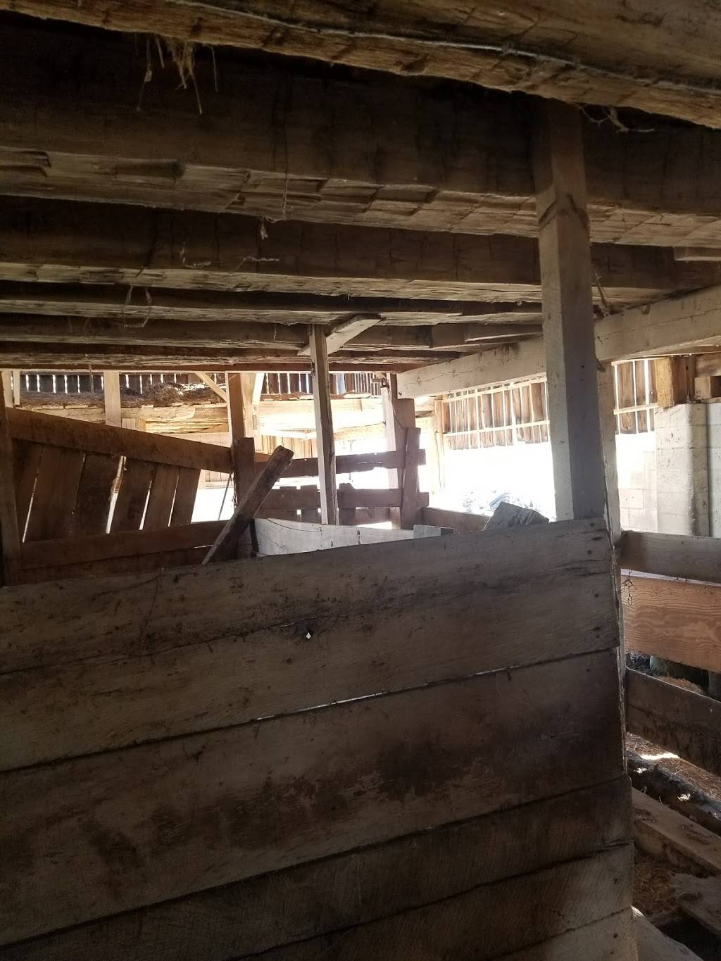 The Chateau | restaurant | 6980 IN-62, Dale, IN 47523, USA | 8129374386 OR +1 812-937-4386