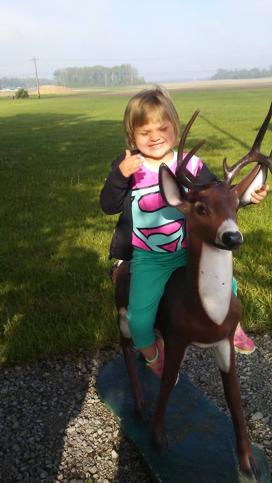 Legacy Restaurant & Bar | restaurant | 618 OH-61, Marengo, OH 43334, USA | 4192535337 OR +1 419-253-5337