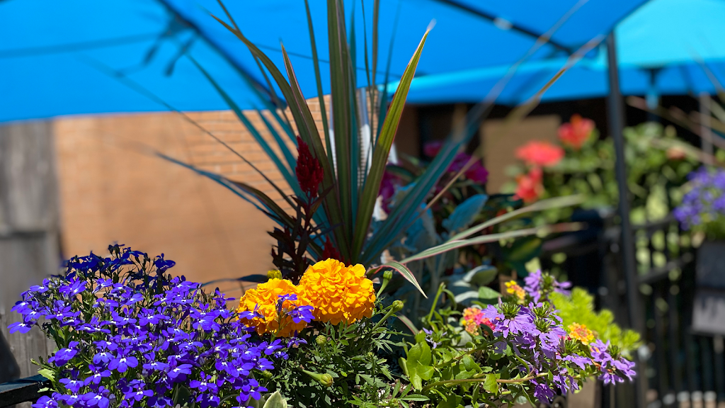 Milwalky Trace | restaurant | 545 N Milwaukee Ave, Libertyville, IL 60048, USA | 8472478700 OR +1 847-247-8700