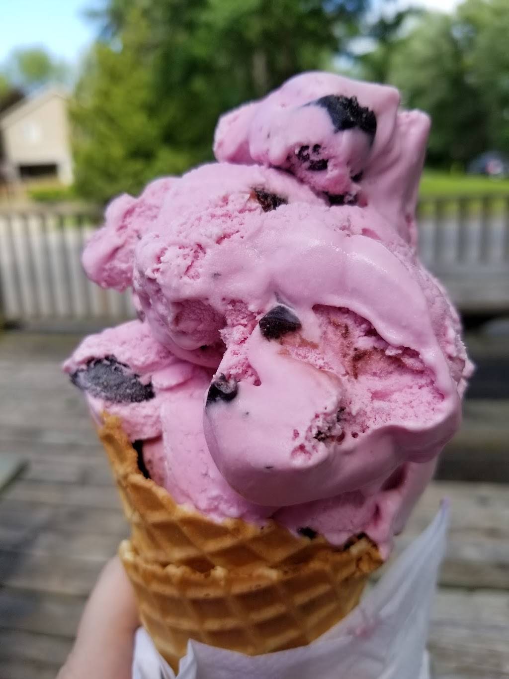 Kellys Cove | restaurant | 259 Cedar Dr, Turkey Point, ON N0A 1T0, Canada | 5194266666 OR +1 519-426-6666