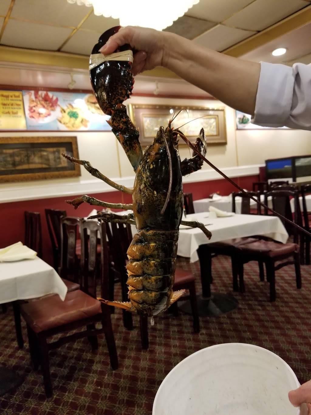 Seafood Cove | restaurant | 8547 Westminster Ave , Garden Grove, CA 92844, Garden Grove, CA 92844, USA | 7148957964 OR +1 714-895-7964