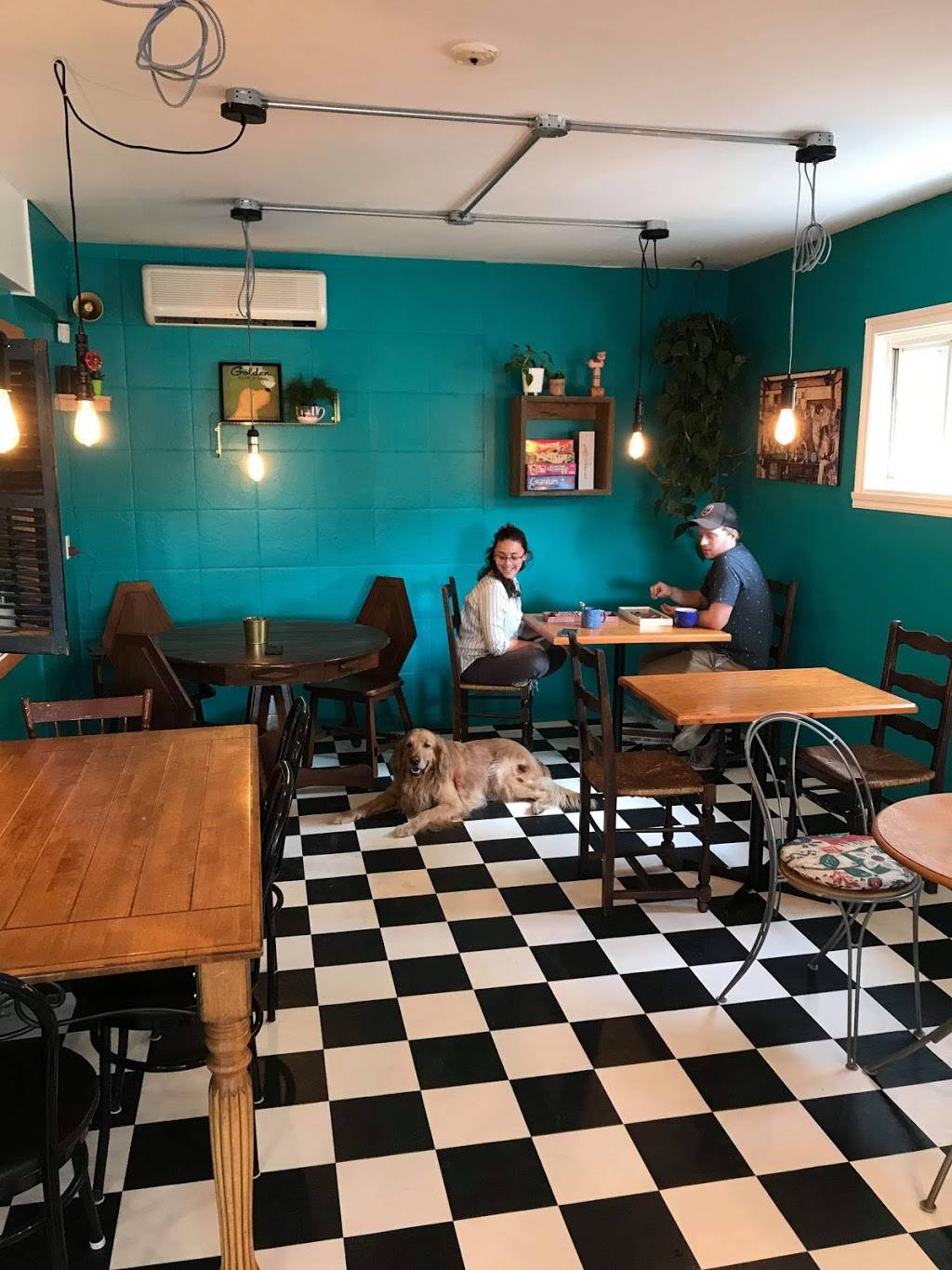 CHEZ LUC- Café et Boutique pour animaux | restaurant | 1050 Boulevard Laurier E, Saint-Hyacinthe, QC J2T 1K1, Canada | 4502523647 OR +1 450-252-3647