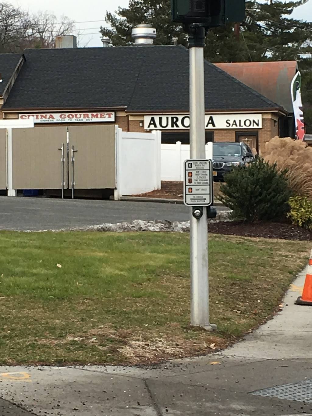 China Gourmet | restaurant | 334 Lexington Ave, Oyster Bay, NY 11771, USA | 5166283888 OR +1 516-628-3888