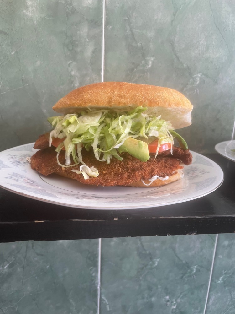 Evas Taqueria Mexican Restaurant | restaurant | 1569 Castleton Ave, Staten Island, NY 10301, USA | 9293435670 OR +1 929-343-5670