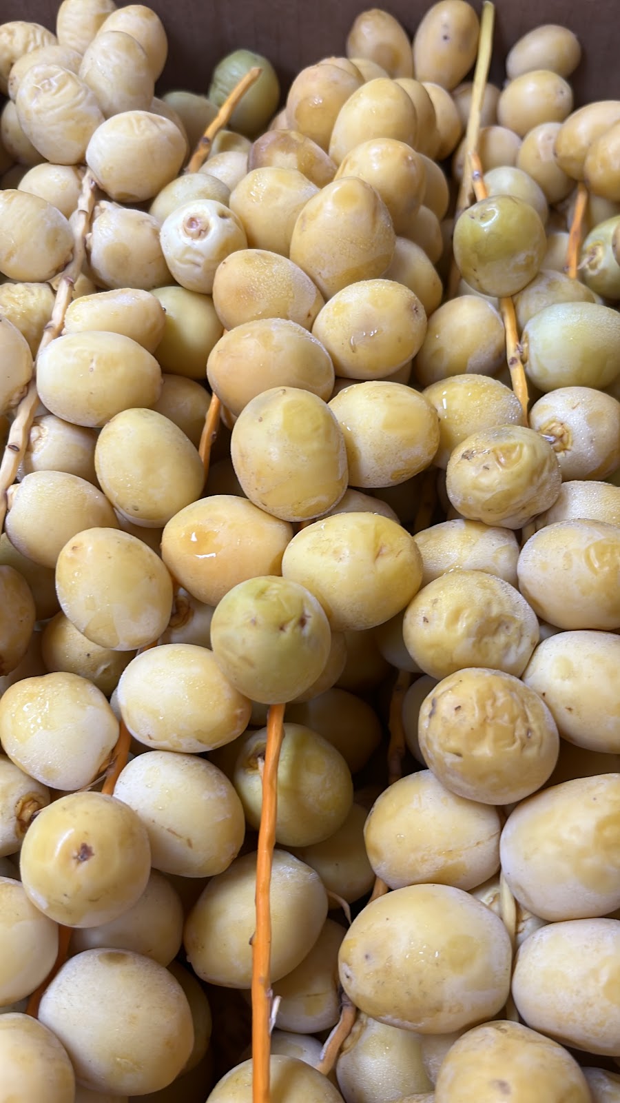 Alsalam Market Halal restaurant | restaurant | 201 Ring Rd, Ridgeland, MS 39157, USA | 6625287430 OR +1 662-528-7430