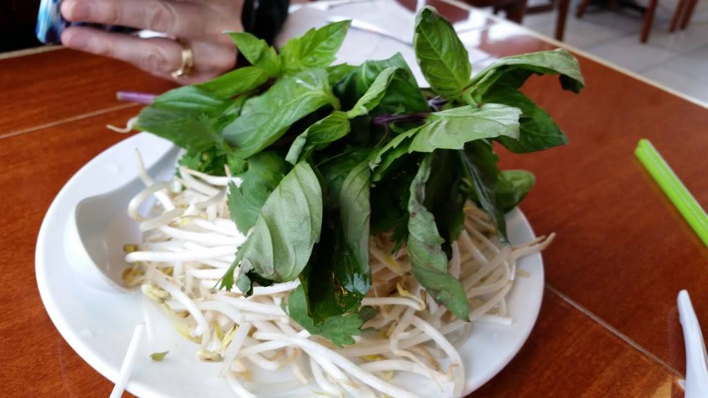 Pho 54 | restaurant | 7280 Michigan Rd, Indianapolis, IN 46268, USA | 3172989001 OR +1 317-298-9001