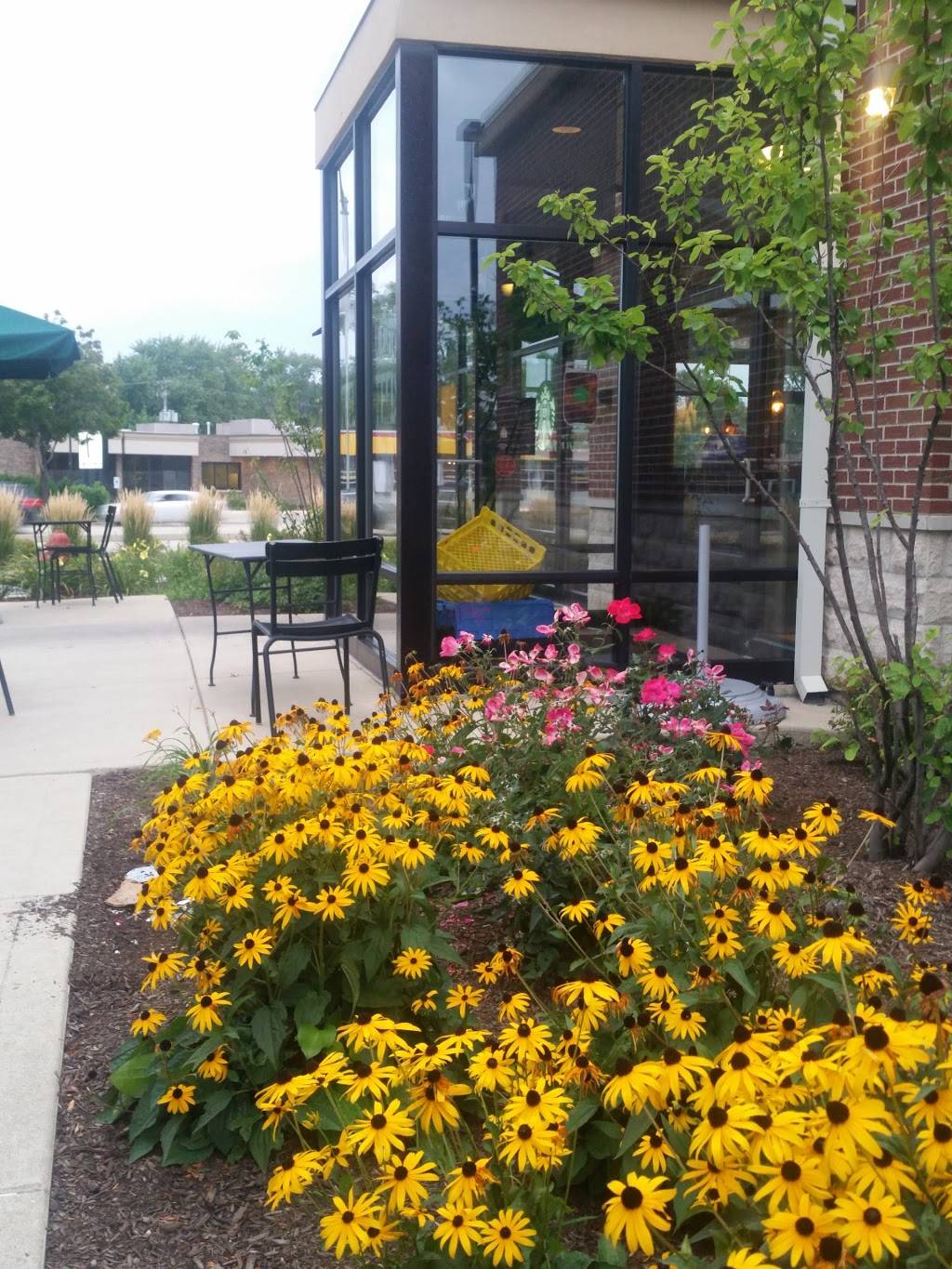 Starbucks | cafe | 505 W Golf Rd, Schaumburg, IL 60195, USA | 8474909831 OR +1 847-490-9831