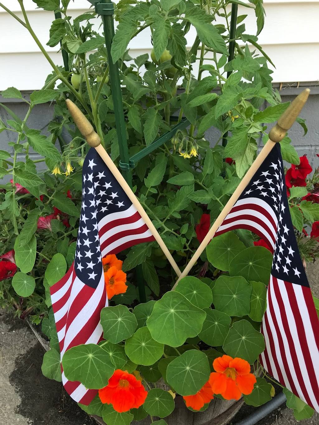 Priscillas Diner | restaurant | 319 Augusta-Rockland Rd, Windsor, ME 04363, USA | 2075494900 OR +1 207-549-4900