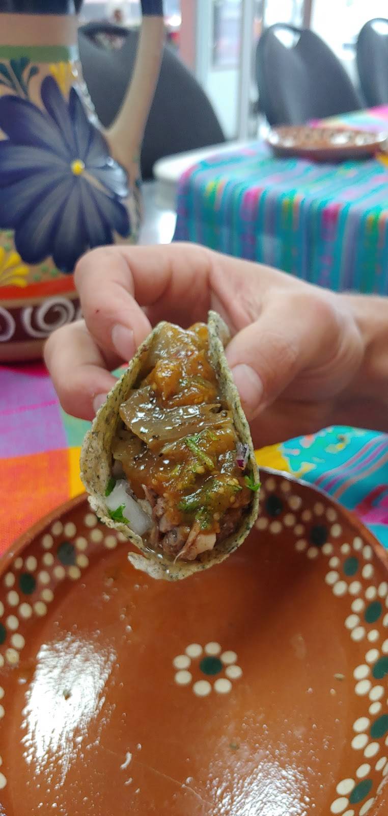 Palomas Grill | restaurant | 390 Springbank Dr, London, ON N6J 3H2, Canada | 5194881786 OR +1 519-488-1786