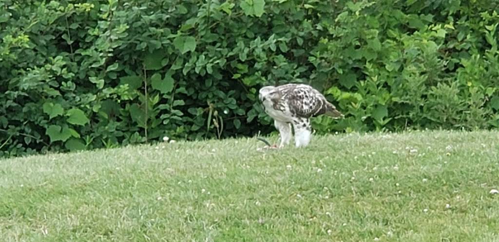 Beechwood - Social House (Restaurant) | restaurant | 4680 Thorold Town Line, Niagara Falls, ON L2H 0W2, Canada | 9056804653 OR +1 905-680-4653