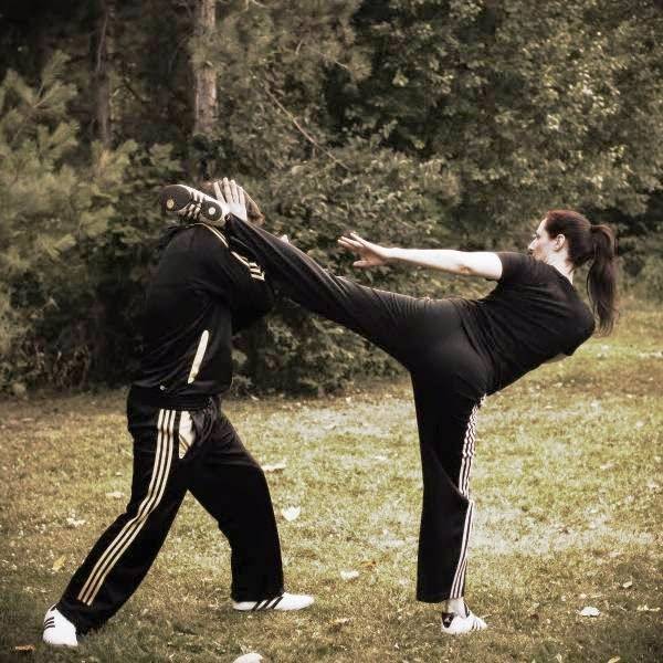 Gold Summit Kungfu Tai Chi Institute | restaurant | 255 Great Arrow Ave suite 112, Buffalo, NY 14207, USA | 7168743939 OR +1 716-874-3939