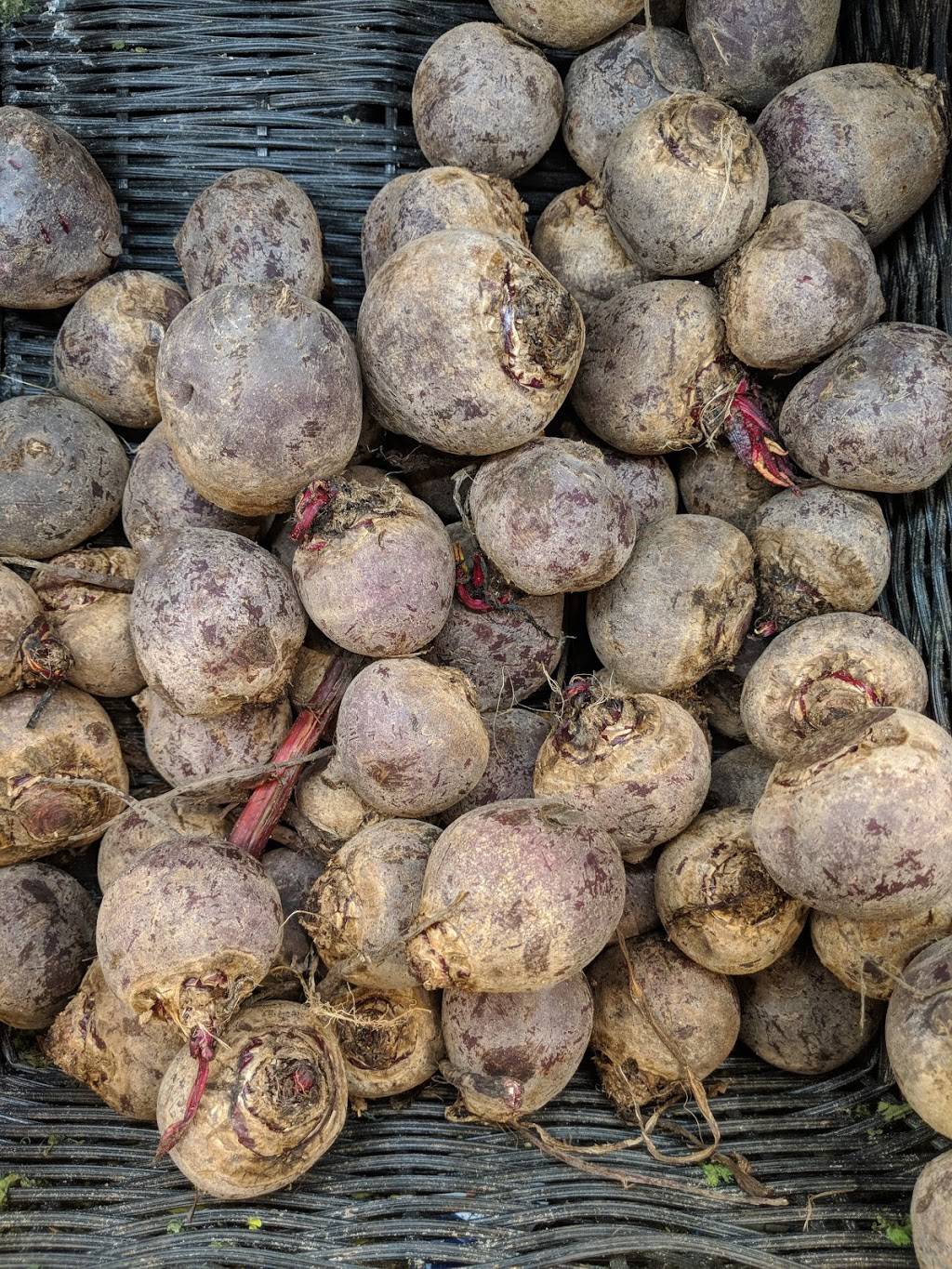 Glatt Mart | meal takeaway | 1205 Avenue M, Brooklyn, NY 11230, USA | 7183384040 OR +1 718-338-4040