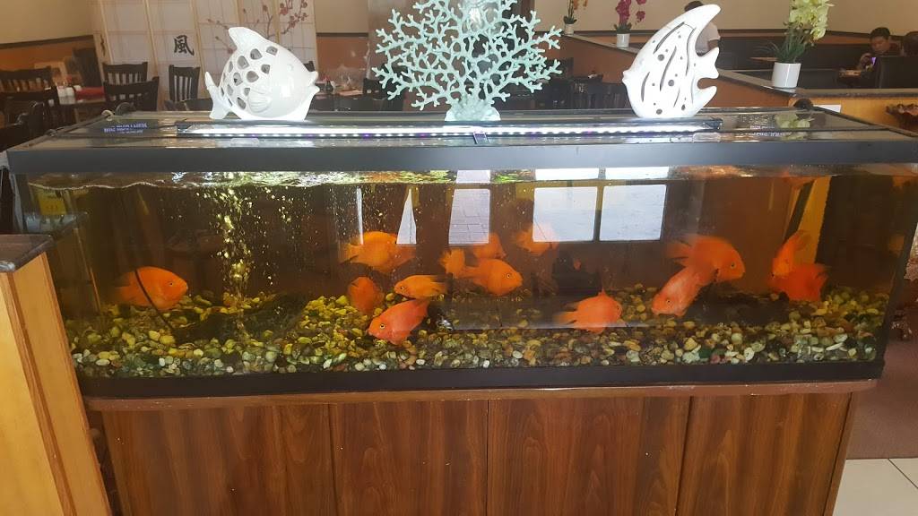 China Island Restaurant | restaurant | 13618 FL-84, Davie, FL 33325, USA | 9544241689 OR +1 954-424-1689