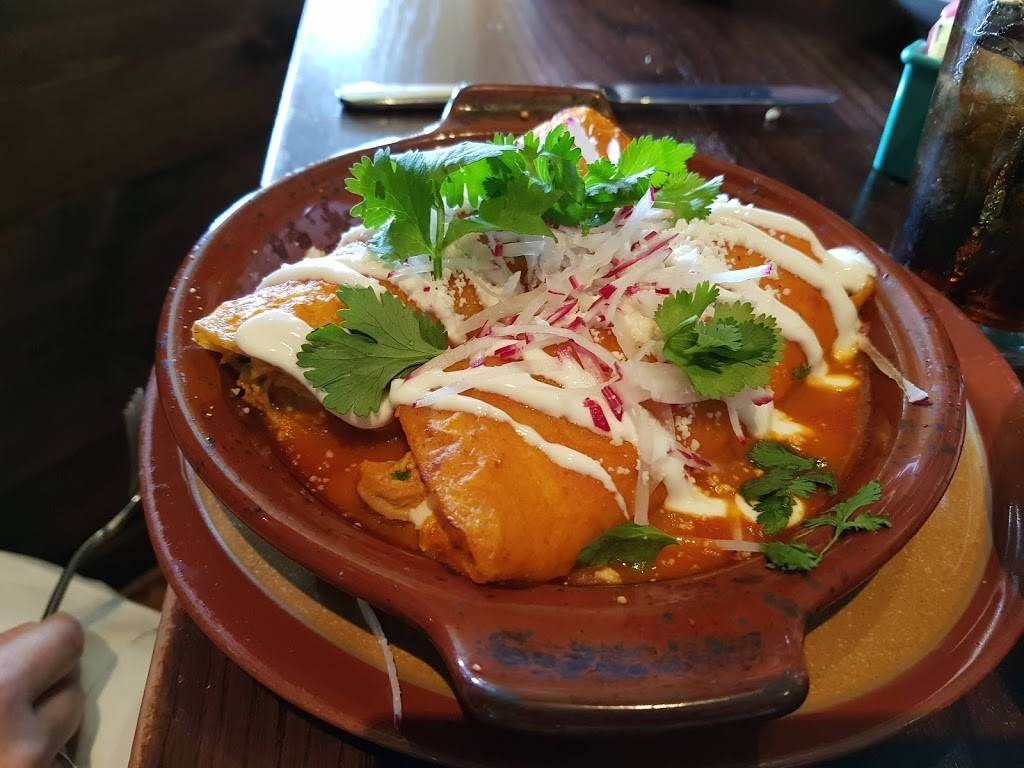 Cantina Feliz | restaurant | 424 S Bethlehem Pike, Fort Washington, PA 19034, USA | 2156461320 OR +1 215-646-1320