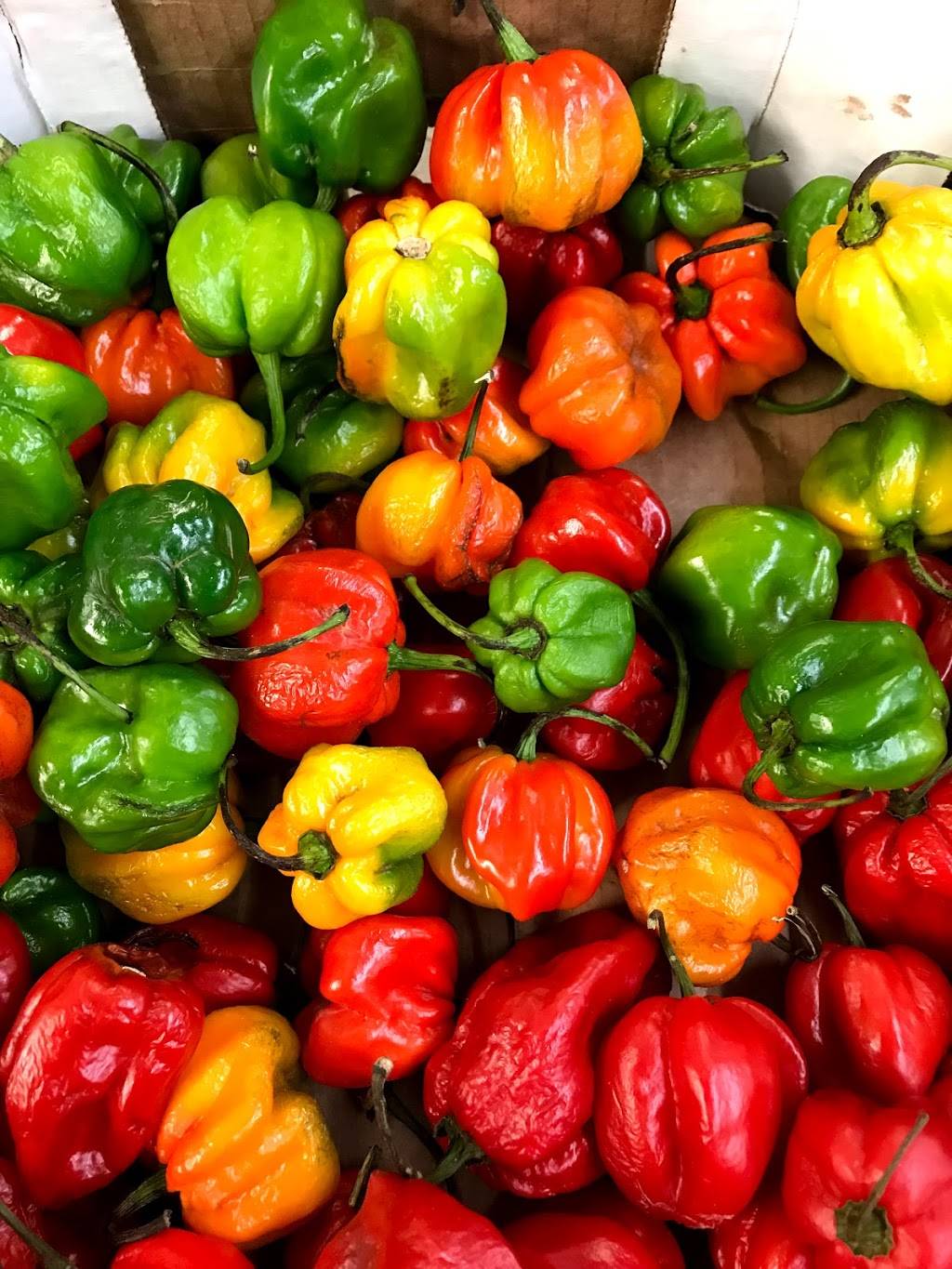 D & L Groceries Inc | restaurant | 1005 Genesee St, Rochester, NY 14611, USA | 5854360460 OR +1 585-436-0460