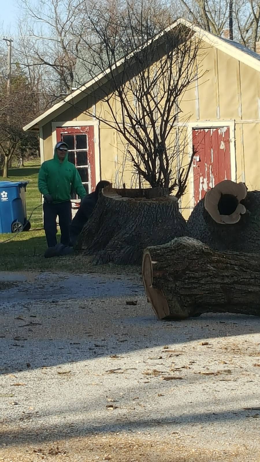 Marilyns Family Restaurant | restaurant | 25812 S Governors Hwy, Monee, IL 60449, USA | 7085348467 OR +1 708-534-8467