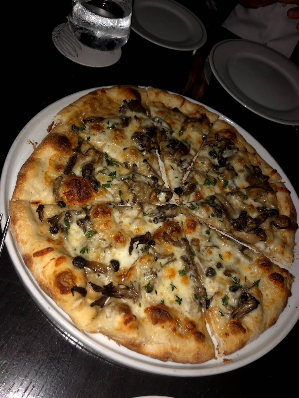 The Terrace Grill | restaurant | 299 N Federal Hwy, Fort Lauderdale, FL 33301, USA | 9549459300 OR +1 954-945-9300