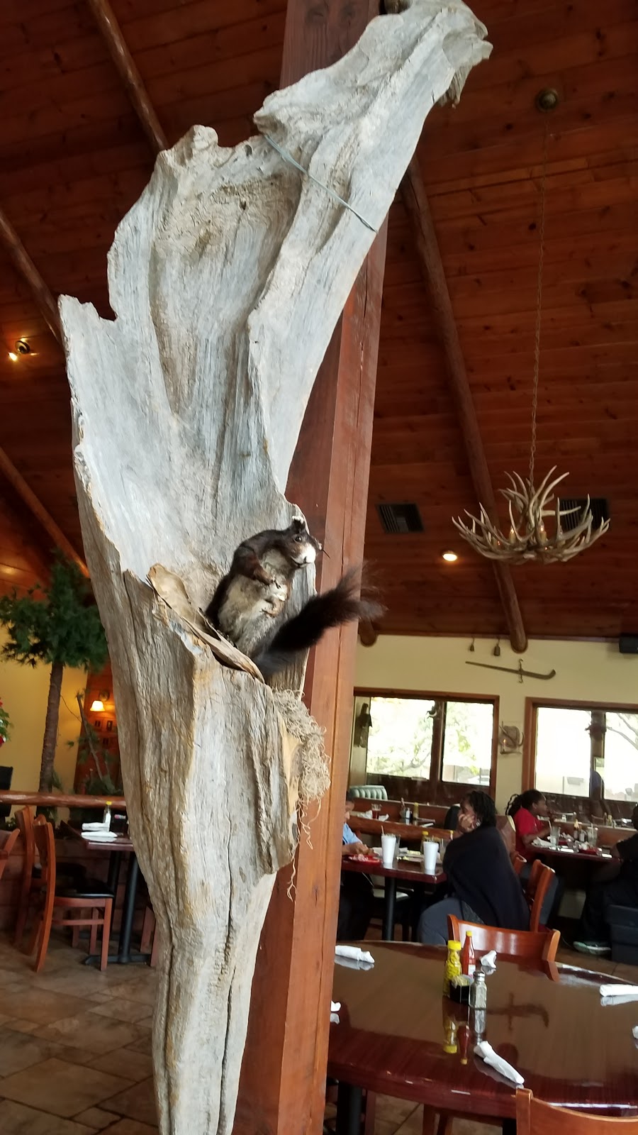 Wilderness Cabin Cafe | restaurant | 1900 Capital Cir NE, Tallahassee, FL 32308, USA | 8505092080 OR +1 850-509-2080