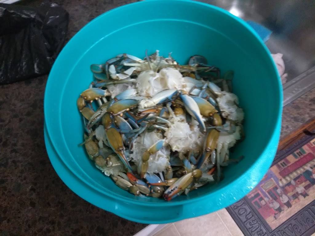 Tandoorish Indian Cuisine Restaurant | restaurant | 9135 West Sam Houston Pkwy N #400, Houston, TX 77064, USA | 3462064299 OR +1 346-206-4299