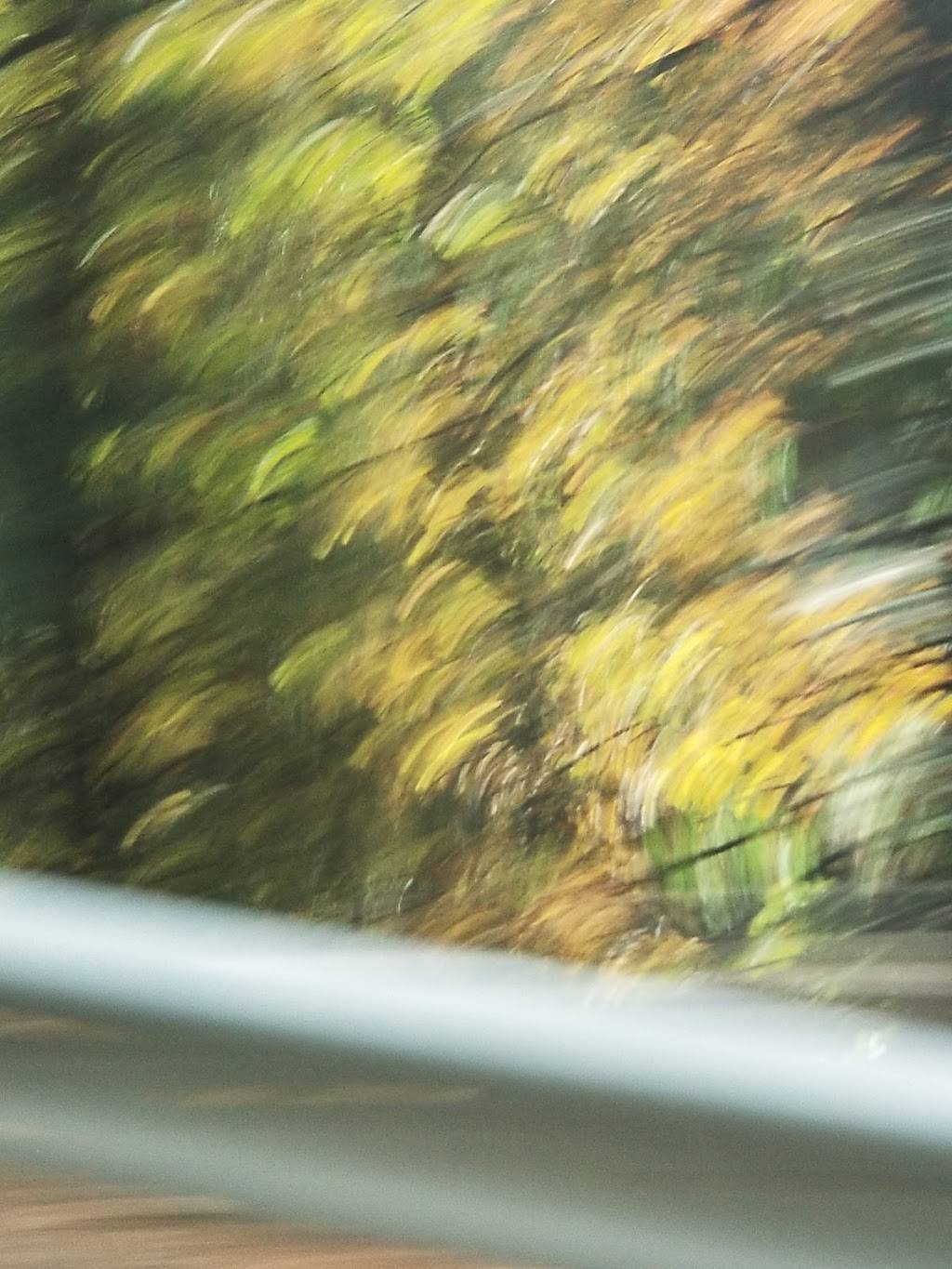 The Merry Woods | restaurant | 10120 US-50, Pollock Pines, CA 95726, USA | 5302933384 OR +1 530-293-3384