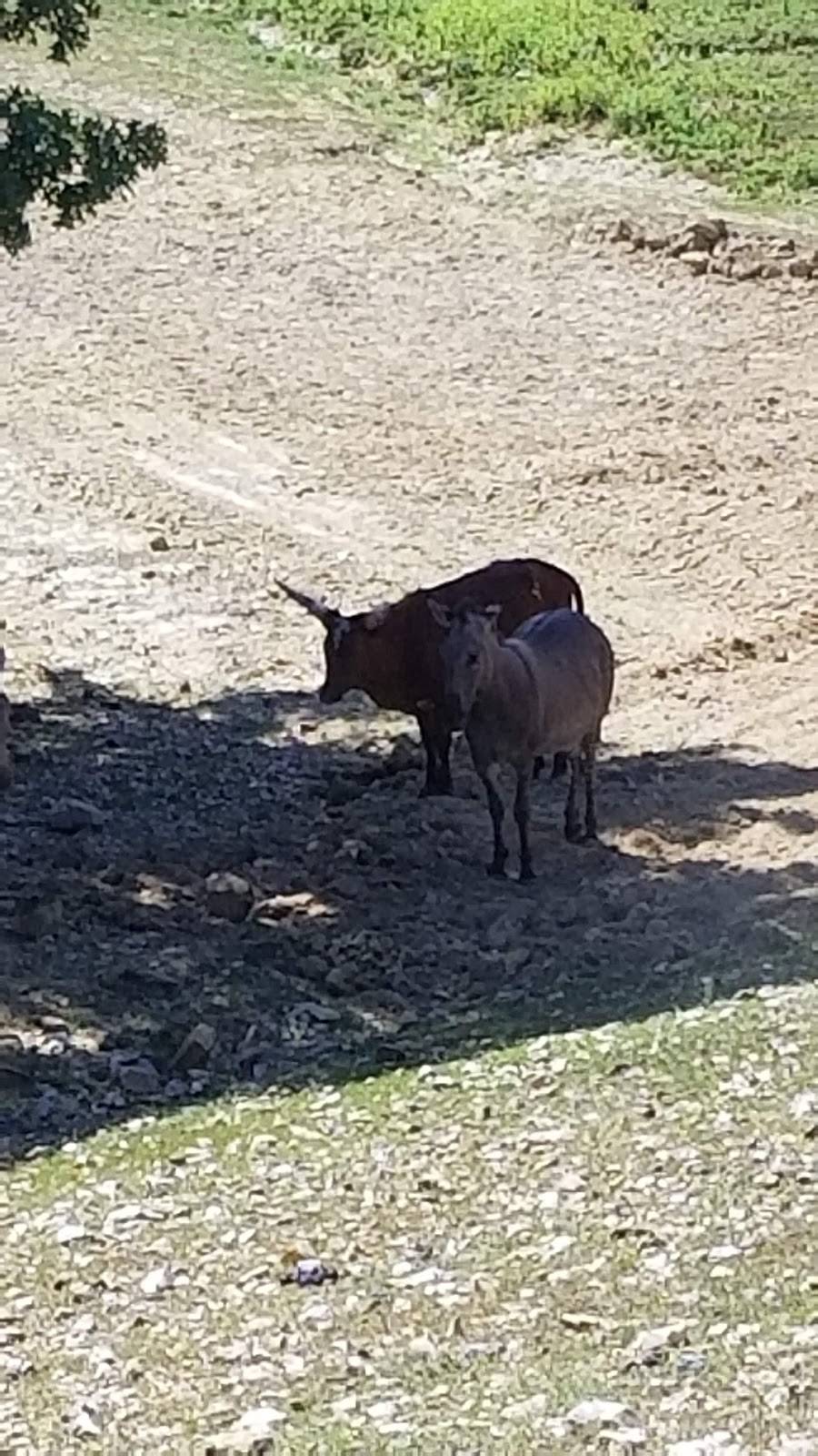 Smokin Bones | restaurant | 8401 US-34 Bldg 1,, 8401 73rd St, Agency, IA 52530, USA | 6419375114 OR +1 641-937-5114