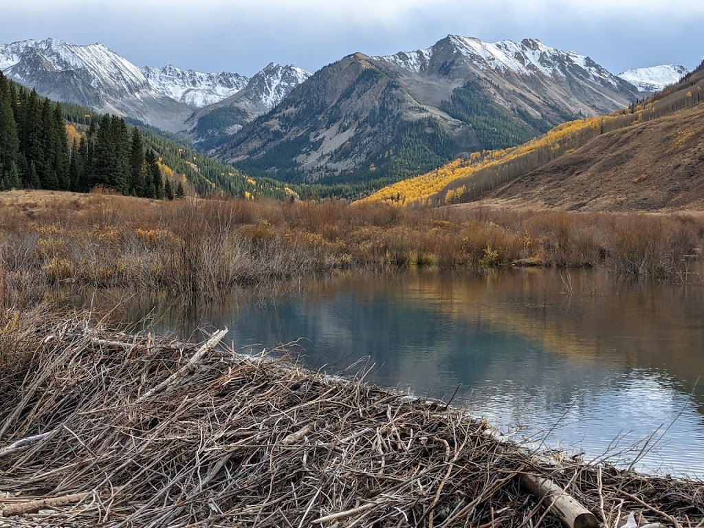 Ashcroft Adventures | restaurant | 12500 Castle Creek Rd, Aspen, CO 81611, USA | 9709251044 OR +1 970-925-1044