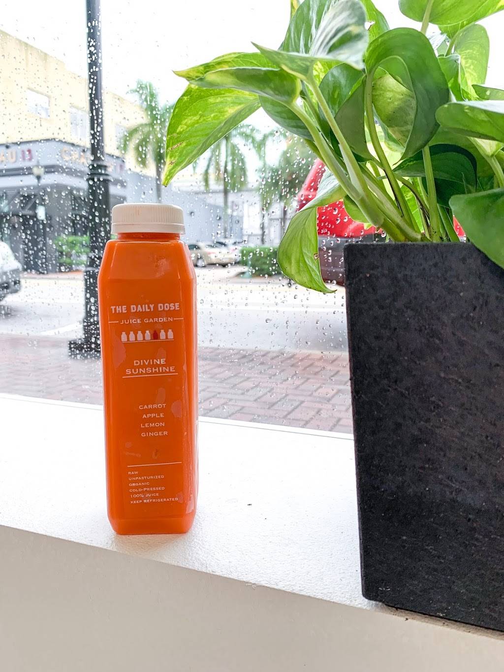 The Daily Dose Juice Garden | restaurant | 536 13th St W, Bradenton, FL 34205, USA | 9412014880 OR +1 941-201-4880