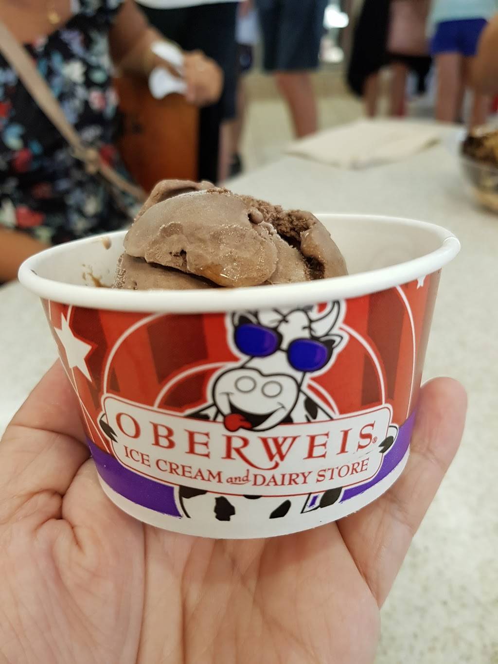 Oberweis Ice Cream and Dairy Store | restaurant | 30 Roselle Rd, Schaumburg, IL 60193, USA | 8475340544 OR +1 847-534-0544