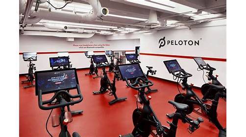 TWA Hotel | restaurant | JFK Access Road, John F. Kennedy International Airport (JFK), One Idlewild Drive, Queens, NY 11430, USA | 2128069000 OR +1 212-806-9000