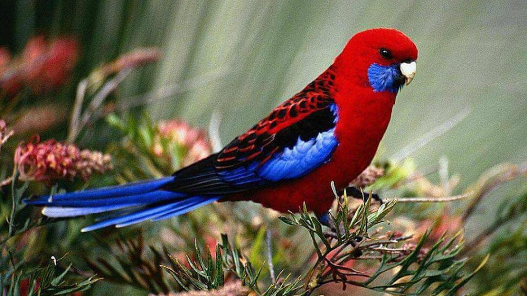 Ashlys Restaurant | restaurant | 10071 Timberwood Dr, Houston, TX 77080, USA | 2819320067 OR +1 281-932-0067