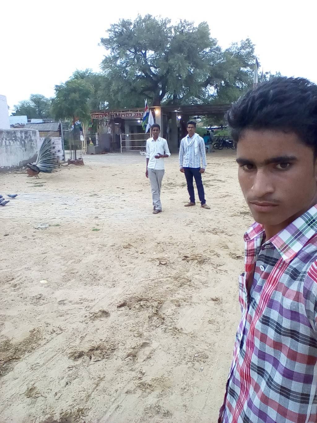 Jadeli | restaurant | 330 Eastern Bypass #3, Richmond, KY 40475, USA | 8596239217 OR +1 859-623-9217