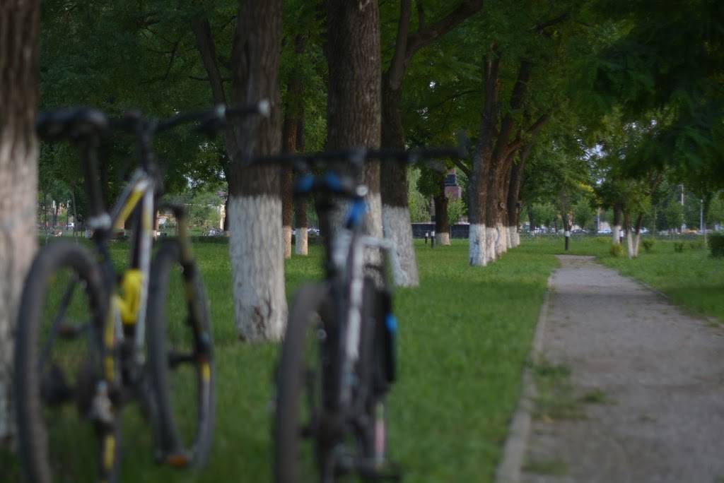 Stefanos | restaurant | 735 Chestnut Ridge Rd, Morgantown, WV 26505, USA | 3045816930 OR +1 304-581-6930