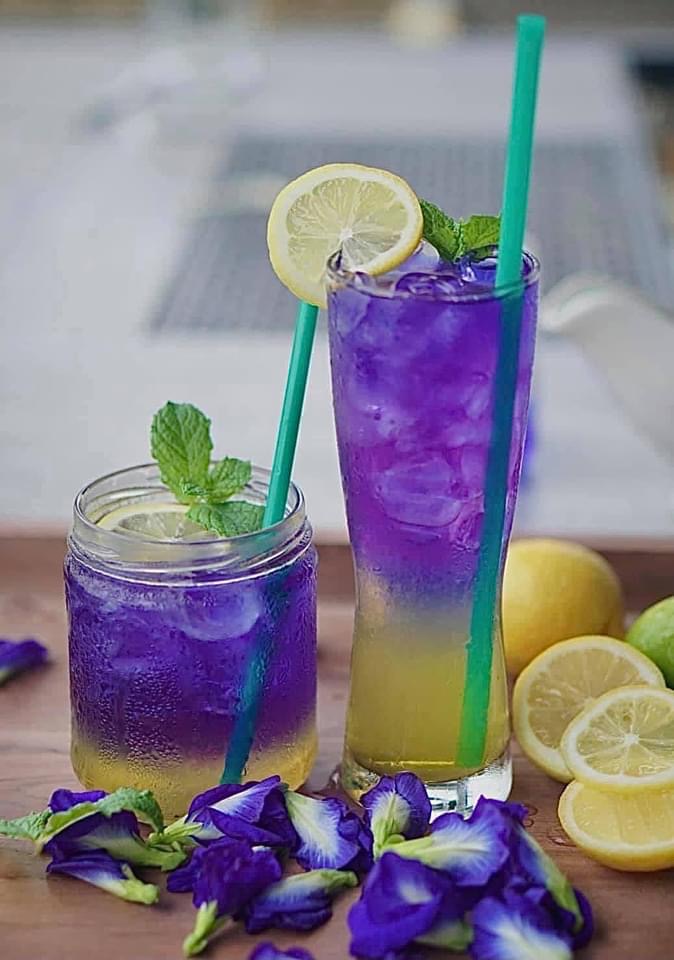 Payaathai Cuisine | restaurant | 13416 Boyette Rd, Riverview, FL 33569, USA | 8136555491 OR +1 813-655-5491