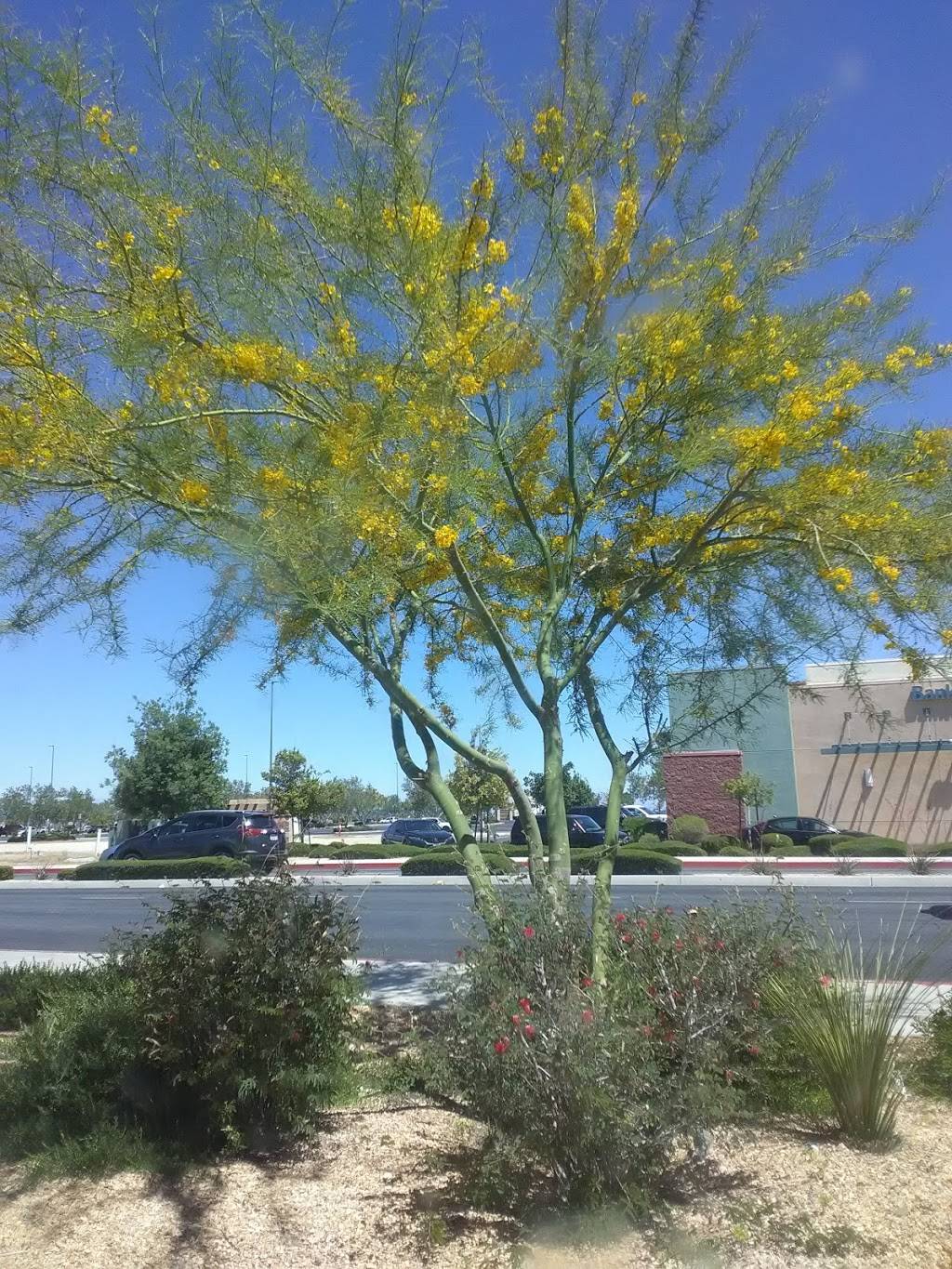 Starbucks | cafe | 38135 47th St E Suite 605-38, Palmdale, CA 93552, USA | 6614339056 OR +1 661-433-9056