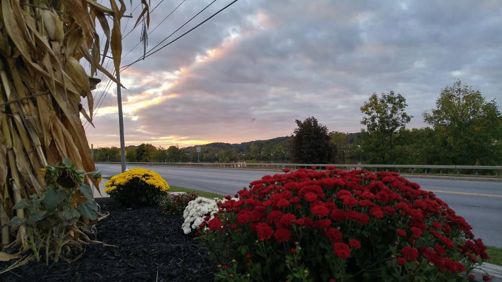 TravelCenters of America | restaurant | 40 Riverside Dr, Fultonville, NY 12072, USA | 5188533411 OR +1 518-853-3411