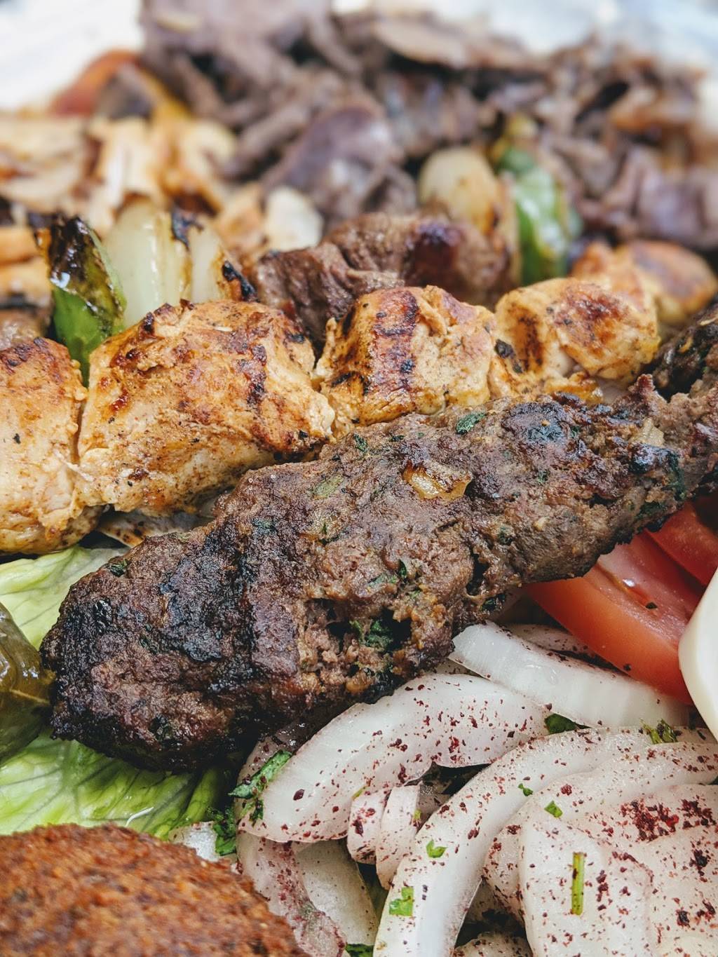 Hamido | restaurant | 13251 W Warren Ave, Dearborn, MI 48126, USA | 3135820660 OR +1 313-582-0660