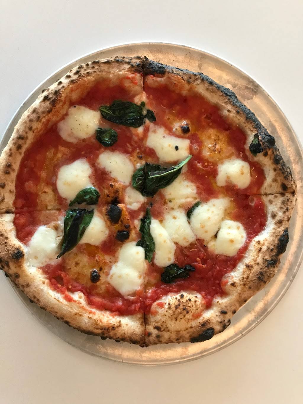 Harlows Pizza | restaurant | 14319 Madison Ave, Lakewood, OH 44107, USA | 2167126502 OR +1 216-712-6502