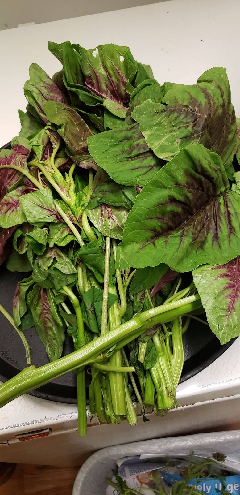 Chez Olga LLC | restaurant | 1441 Wealthy St SE, Grand Rapids, MI 49506, USA | 6162334141 OR +1 616-233-4141