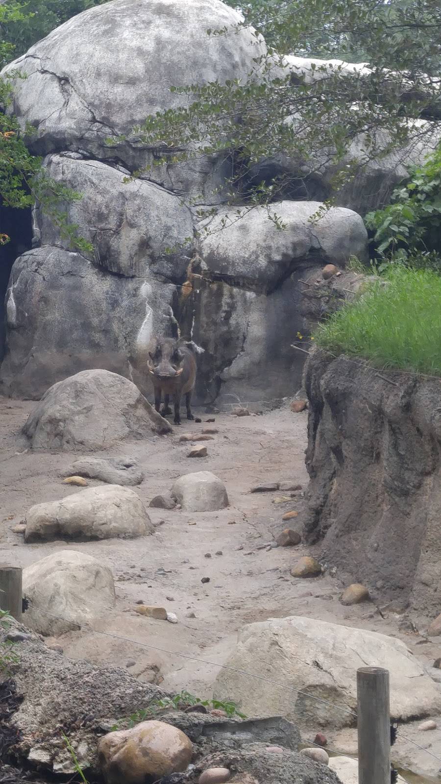 Rafiki Restaurant - Kansas City Zoo | restaurant | Kansas City, MO 64132, USA | 8165951234 OR +1 816-595-1234