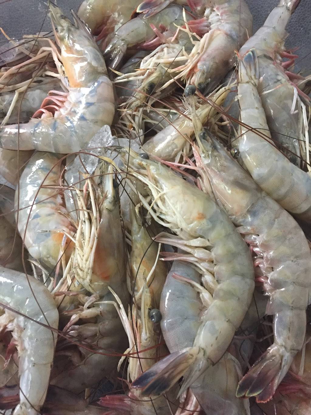 Key West Shrimp Co, Madeira Beach | restaurant | 215 150th Ave, Madeira Beach, FL 33708, USA | 7275921885 OR +1 727-592-1885