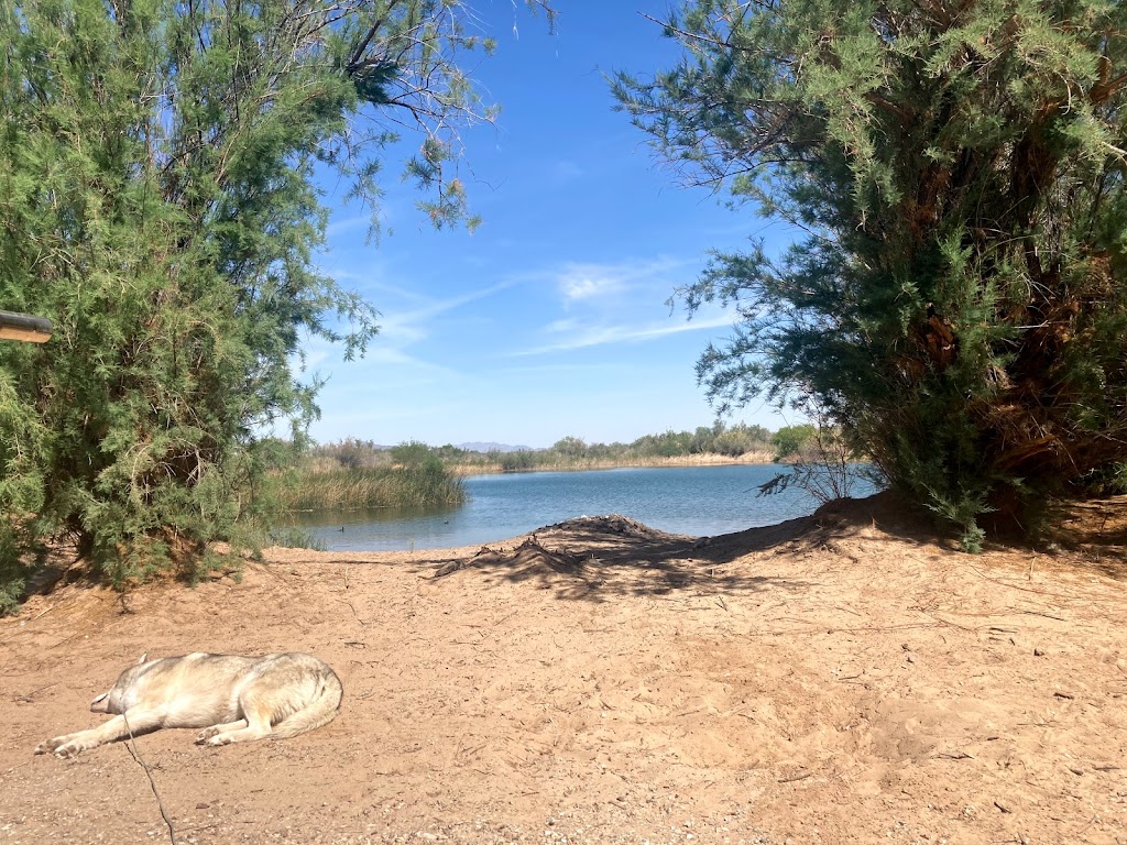 Karlz Sand Shack | restaurant | Baseline Rd, Cibola, AZ 85328, USA | 5202217651 OR +1 520-221-7651