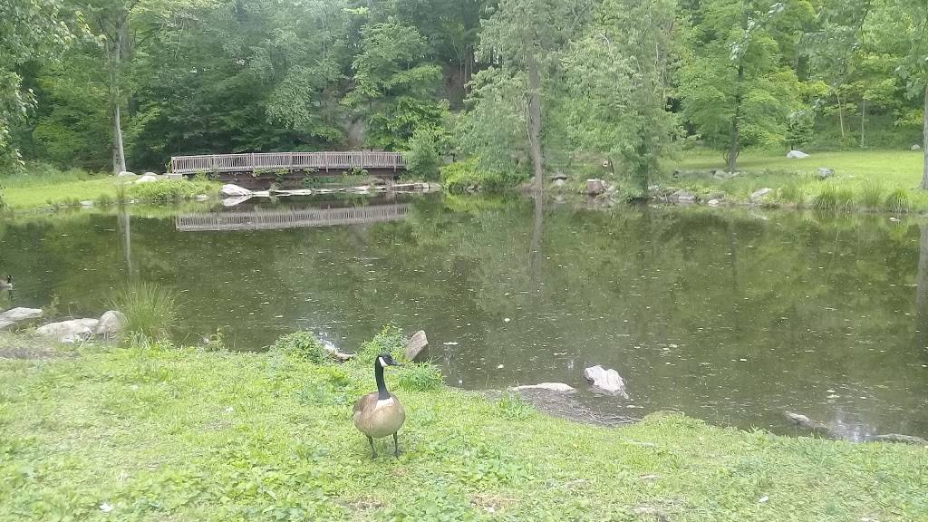 Wedged In Deli & Catering | meal takeaway | 605 Old White Plains Rd, Tarrytown, NY 10591, USA | 9143664212 OR +1 914-366-4212