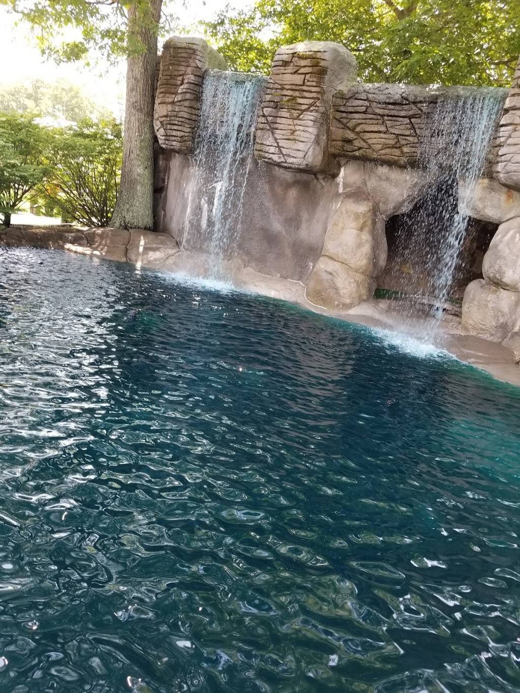 The Cove - Golf & Grill | restaurant | 386 State Rd, Vineyard Haven, MA 02568, USA | 5086932611 OR +1 508-693-2611