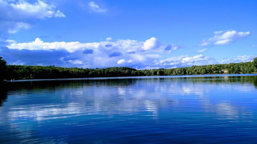 New China | restaurant | 1148 NY-52, Loch Sheldrake, NY 12759, USA | 8454343950 OR +1 845-434-3950