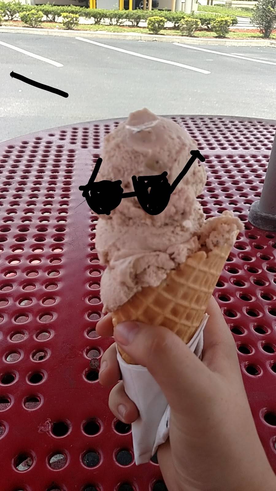 Brusters Real Ice Cream | restaurant | 855 Cheney Hwy, Titusville, FL 32780, USA | 3213850400 OR +1 321-385-0400