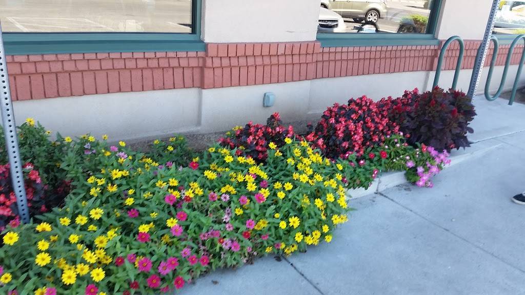 Dions | restaurant | 6308 4th St NW, Los Ranchos De Albuquerque, NM 87107, USA | 5053454900 OR +1 505-345-4900