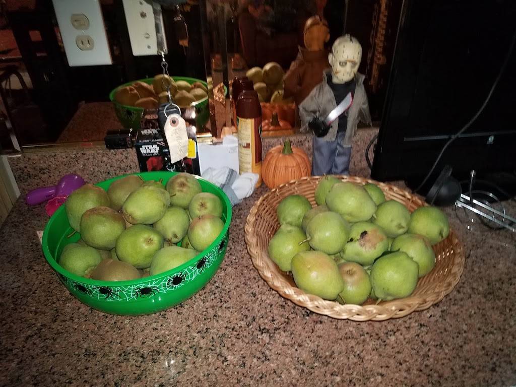 Annettis Pizzeria | restaurant | 4950 N Cumberland Ave, Norridge, IL 60706, USA | 7084561056 OR +1 708-456-1056