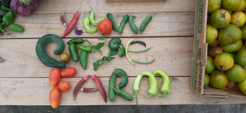 Yellow Cottage Farm and Bakery | restaurant | 7964 TX-146, Livingston, TX 77351, USA | 2812295838 OR +1 281-229-5838