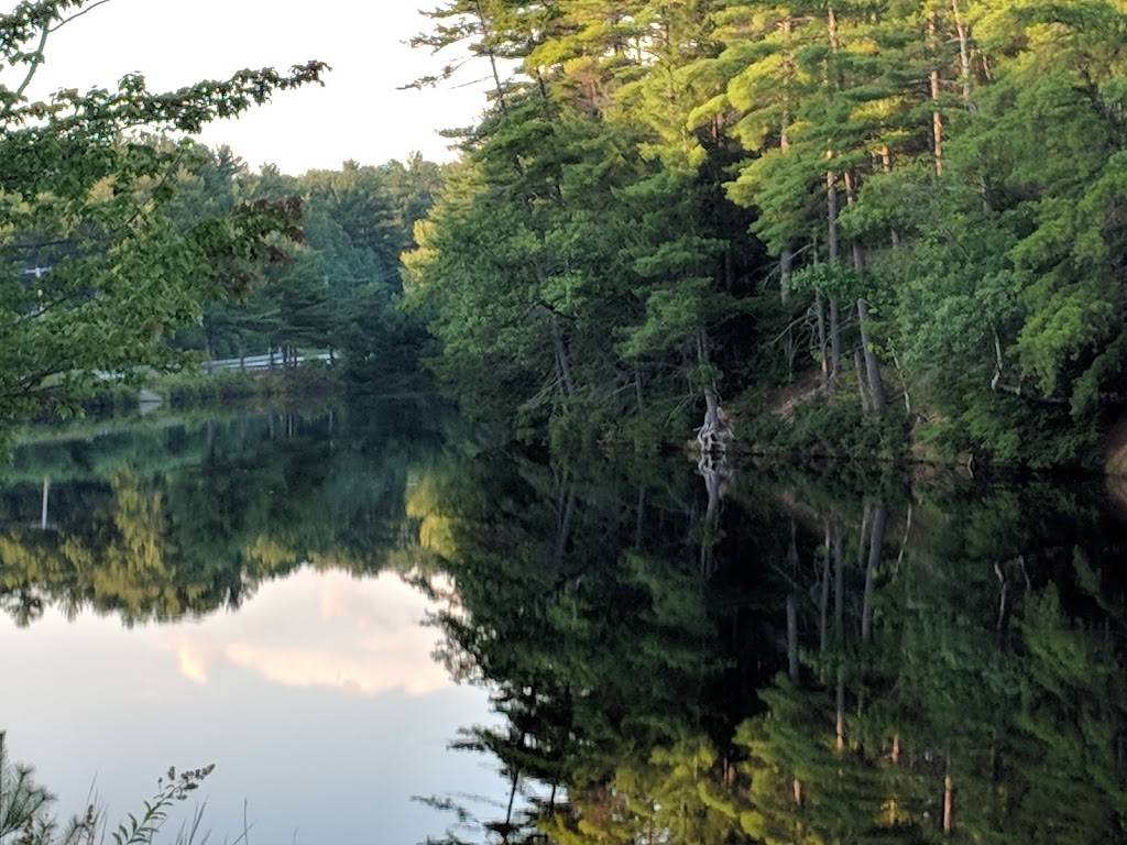 Stoney Brook Lobster Pound | restaurant | 304 Sebago Rd, Sebago, ME 04029, USA | 2076371284 OR +1 207-637-1284