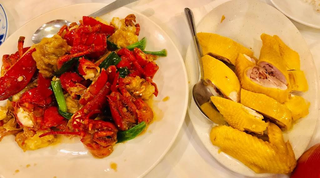 悦来 | restaurant | 8880-D Bellaire Blvd, Houston, TX 77036, USA | 7132716888 OR +1 713-271-6888